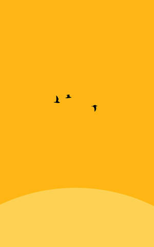 三隻鳥在簡約的橙色天空中，於彎曲的地平線上方飛翔。