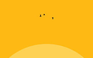 三隻鳥在橙色日落天空背景下飛翔，帶有彎曲地平線。 — 螢光黃 壁紙