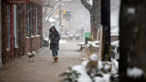 冬季暴風雪中，一個人在積雪的人行道上遛小狗。