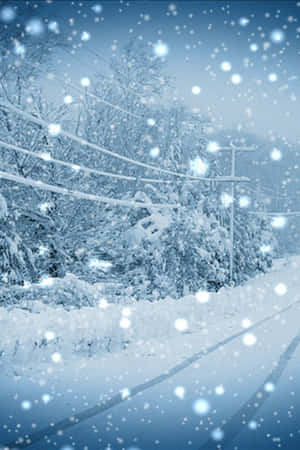 冬季白雪覆蓋的道路，有結霜的樹木和電線桿。 — 樹 壁紙