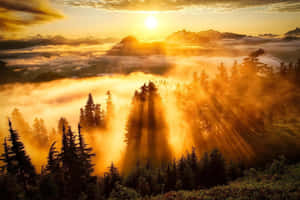 日出時陽光穿過雲層照喺山林上面。