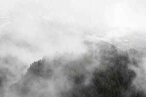 山坡上的霧林，有雪斑和多雲的天空 — 深色iPhone壁紙