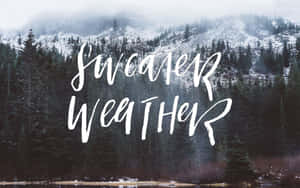 白雪覆蓋的松樹林、霧氣繚繞的山巒，以及sweater weather文字疊加。 — 冬日美學 壁紙