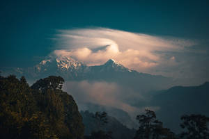 雪山峰在黎明時分聳立於雲層之上，前景有森林