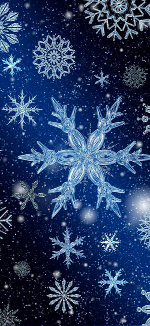 閃閃發光的雪花在繁星點點的夜空中飄浮。