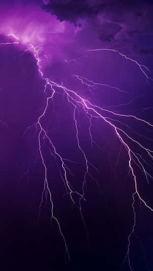 紫色閃電在暴風雨的夜空中分叉。