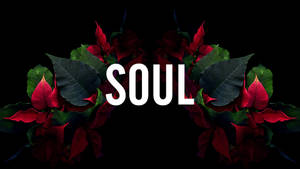 黑色背景上，紅色聖誕紅花朵和綠色葉子環繞著 SOUL 這個詞。