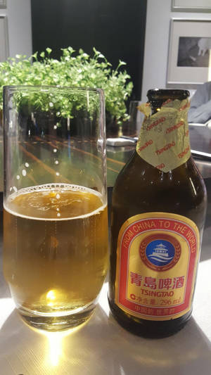 桌上放著一杯青島啤酒和一瓶啤酒，旁邊有一棵綠色植物。