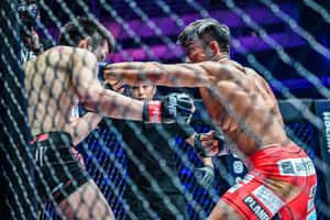 兩名MMA拳手在八角籠內於明亮燈光下互相出拳。 — 動漫打鬥 壁紙