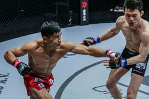 兩名男性MMA拳手在比賽期間於八角籠內交戰。 — 動漫打鬥 壁紙