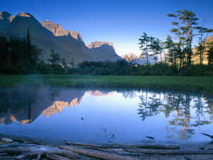 黎明時分，山湖倒映山峰和樹木，前景有原木