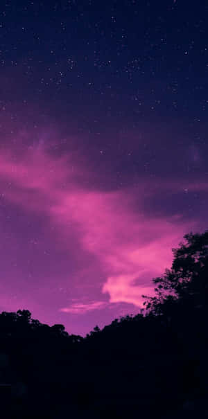 充滿活力的紫色和粉紅色夜空，星星和樹木剪影。