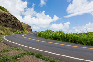 彎曲的道路穿過綠草和岩石懸崖，在藍天白雲下