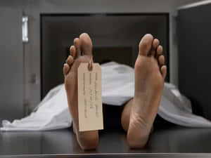 停屍間內帶有身份識別標籤的死者腳部。