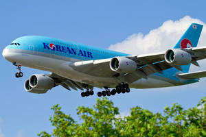 大韓航空空中巴士A380飛機在樹木上方降落