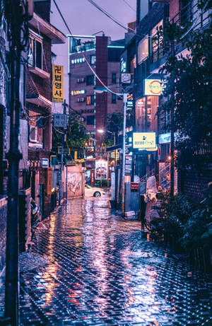 夜晚的雨巷，發光的霓虹燈招牌在濕漉漉的鵝卵石上反射。