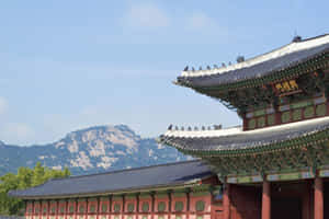 韓國宮殿大門，屋頂上有鳥，背景有山