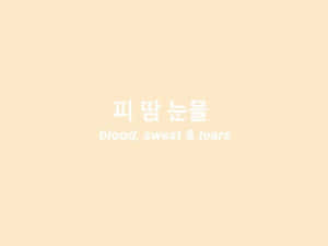 蜜桃色背景，韓文和英文文字「blood sweat & tears」