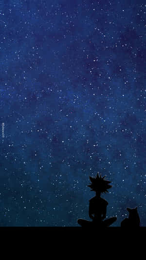 男孩和貓的剪影凝視著星空。