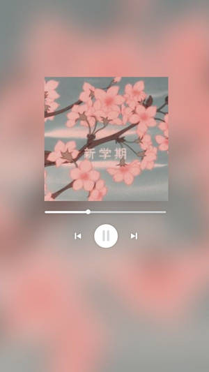 動漫風格的櫻花在樹枝上盛開，背景是藍天。