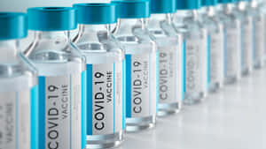 一排帶有藍色瓶蓋和標籤的COVID-19疫苗藥瓶在白色表面上。