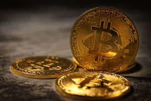 三枚金色比特幣在深色紋理表面上，聚焦燈光照射。