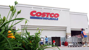 Costco 商店入口，有購物者和推車員工，以黃色花朵框住。