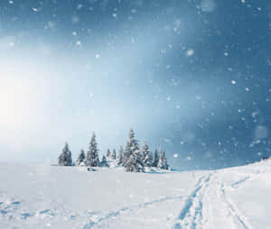 白雪覆蓋的山丘，有常青樹和滑雪道，藍天飄雪。