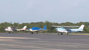 三架小型飛機停泊在機場停機坪上，後面有樹木。