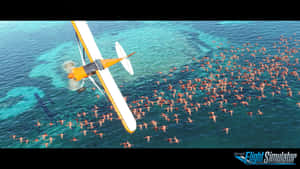 Microsoft Flight Simulator 背景 — 火焰翅膀 壁紙