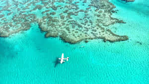 珊瑚礁附近碧綠海水上的白色水上飛機。 — 島嶼 壁紙