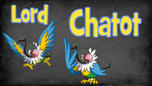 兩隻標有Lord Chatot的卡通鳥寶可夢在黑板背景上。