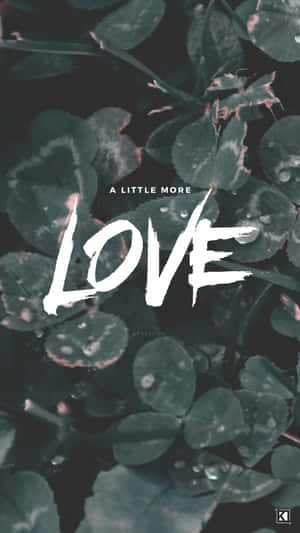 帶露水的三葉草葉片，上面有白色文字寫著love and a little more。