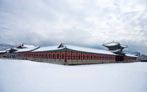 雪覆蓋的韓國宮殿，紅牆瓦頂，陰天。