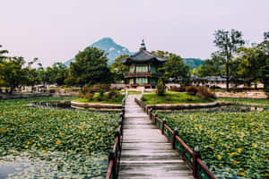 通往荷花池中韓國亭閣的木橋，背景有山