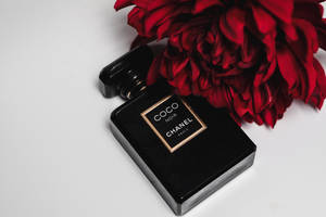 白色背景上，黑色 Chanel Coco Noir 香水瓶旁邊有一朵紅花。