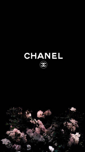 Chanel 標誌在黑色背景上的粉紅玫瑰上方