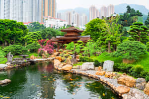 日本花園，設有錦鯉池和亭閣，周圍環繞著綠植和建築物。 — 香港 壁紙