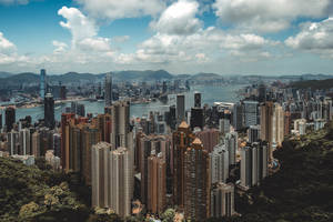 香港城市景觀，摩天大樓、港口和山脈在藍天白雲下。