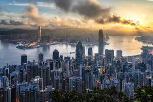 日落時分的香港天際線，摩天大樓和港口在金色光芒中閃耀。