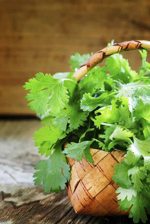 一個編織籃子裝滿新鮮綠色芫荽，放在木桌上。 — 植物美學 壁紙