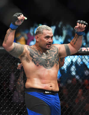 有紋身的MMA拳手在UFC八角籠中慶祝勝利。