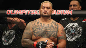 奧林匹斯基體育場八角籠內的紋身MMA拳手
