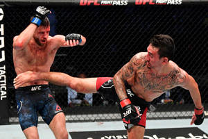 兩名男性MMA拳手在UFC鐵籠中交換高踢和防守阻擋。