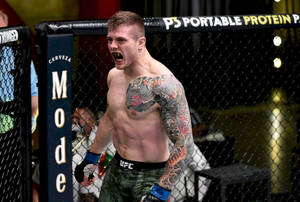 紋身MMA拳手喺UFC八角籠內咆哮。