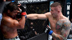 兩名男性MMA拳手在鐵籠內進行暴力打擊交換。