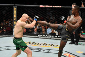 兩名MMA拳手在現場賽事中於UFC八角籠內交戰。