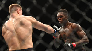 兩名MMA拳手在籠中比賽時互相出拳。