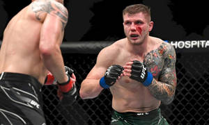 MMA拳手在八角籠內戰鬥時滿臉鮮血和紋身。
