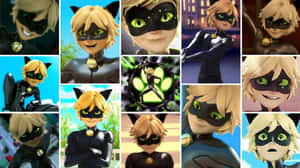 Cat Noir 身穿黑色超級英雄服，綠色眼睛和貓耳朵，多種姿勢。